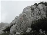 Kalški greben Tik pod vrhom Korena